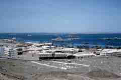 ���� ������ ��� ��� ����